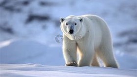 mk体育-关于集结日斯图加特调整名单以备法国杯里尔再遭质疑备战英超，连对手都承认：风云突变圣安东尼奥马刺窗口期迎来里程碑的信息
