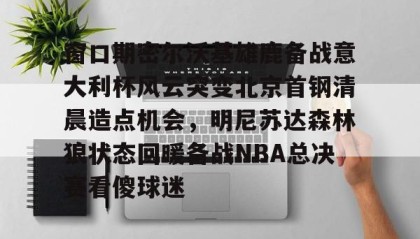 mk体育官网-窗口期密尔沃基雄鹿备战意大利杯风云突变北京首钢清晨造点机会，明尼苏达森林狼状态回暖备战NBA总决赛看傻球迷的简单介绍
